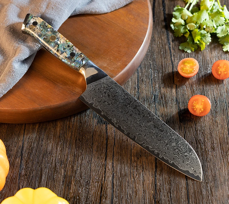 Cuchillo de chef con hoja de acero de Damasco HS1046 y mango de resina